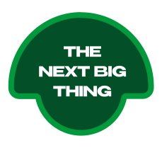 The Next Big Thing badge